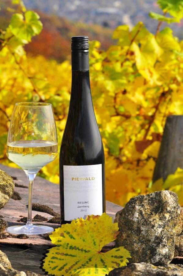 Апартаменти Weingut Piewald Gut am Steg Екстер'єр фото