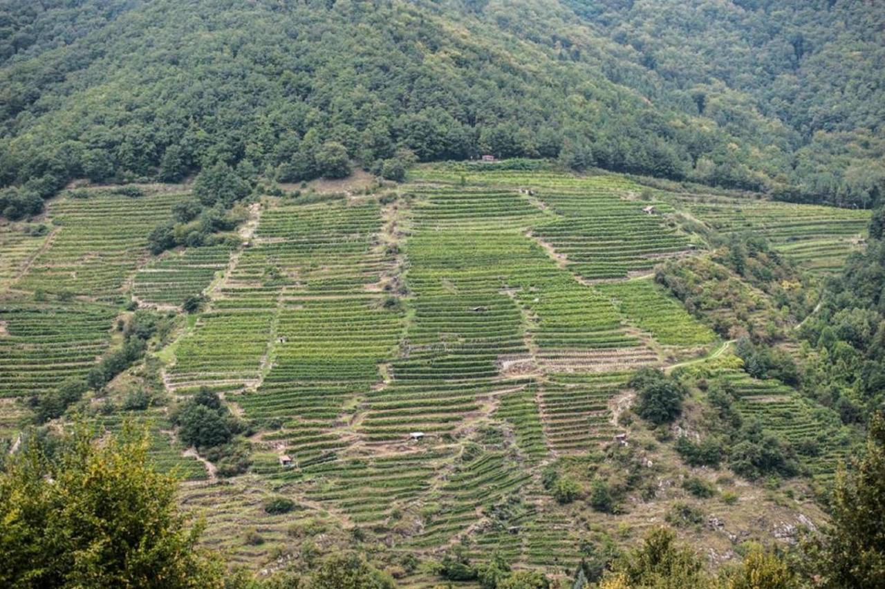 Апартаменти Weingut Piewald Gut am Steg Екстер'єр фото